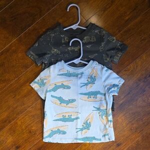 Old Navy T Shirt Set - 2T